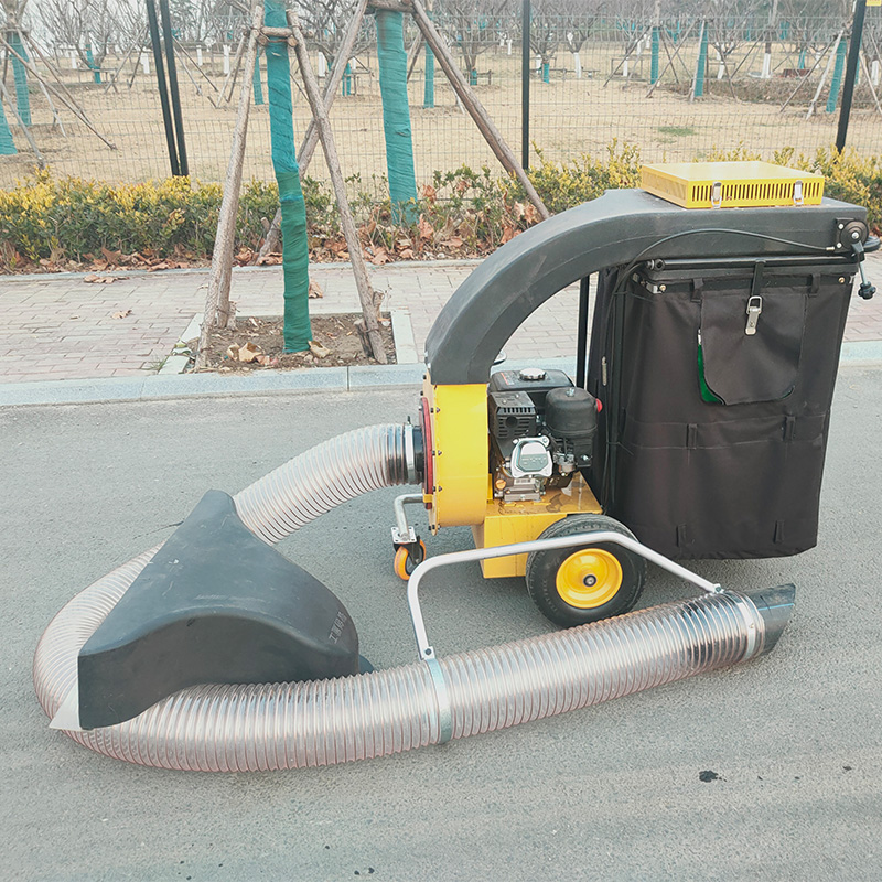 小型車載式ガソリンエンジン搭載の葉っぱ掃除機（モーターとギア - Power Tools Vacuum のレビューと価格