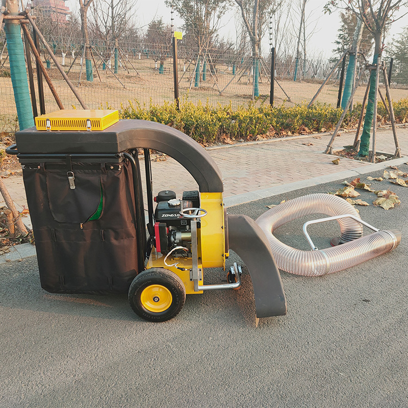 小型車載式ガソリンエンジン搭載の葉っぱ掃除機（モーターとギア - Power Tools Vacuum のレビューと価格